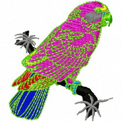 Parrots Embroidery Design 5